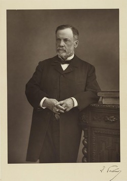 Dr Pasteur