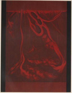 Colour lithograph of solar protuberances