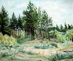 Formby Pines
