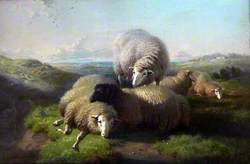 The Awakening