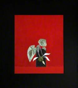 Mexican Vase, Still Life, 1968