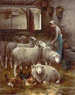 Woman with Sheep in a Barn