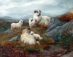 Five Sheep in a Landscape