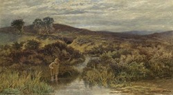 Trout Stream