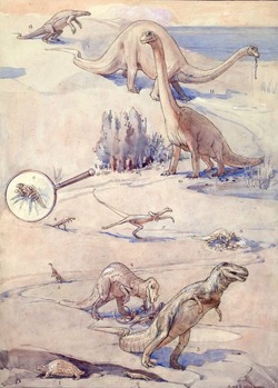 12 drawings of Dinosaurs (plate 1)