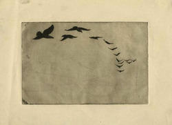 Flight of Birds