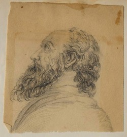 Head of a bearded man