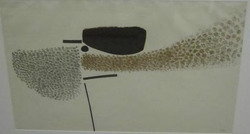 Points of Contact No 2