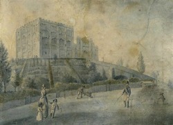 Norwich Castle with allotments
