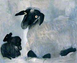 Suffolk Clun-Cross Ewe with Two Lambs