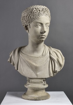Draped Bust of a Woman