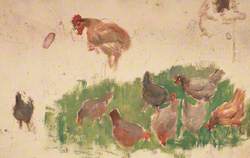 Study of Hens