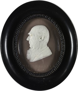 Professor J. D. Hooker (1817–1911)