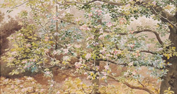 Espalier Apple Blossom