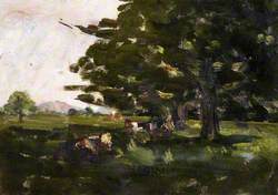 Cows under Trees