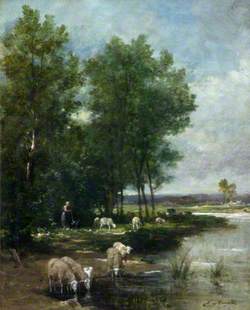 Landscape with Sheep