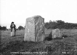 Standing Stone, Castle Espie, Co. Down