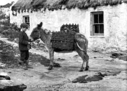Donkey and Creels Rosapenna, North West Donegall