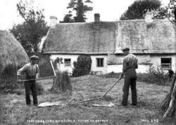 Threshing Corn with Flails, Toome, Co. Antrim