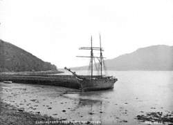 Carlingford Lough from Rostrevor