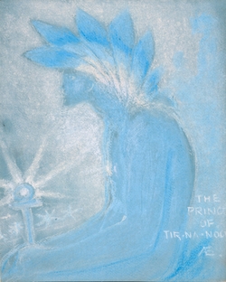The Prince of Tír na nÓg