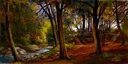 Tollymore Forest
