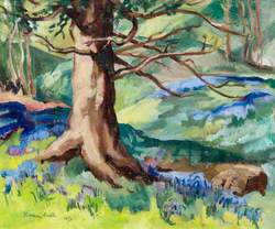 Trees and Bluebells