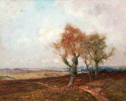 South Wales Landscape