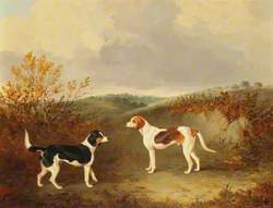 Two Foxhounds in a Landscape