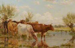 Study of Cattle at a Pond