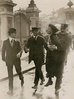 Emmeline Pankhurst's Arrest at Buckingham Palace