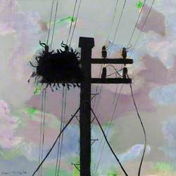 Bird's Nest, Shetland