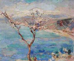Winter Cherry in Blossom with a Mediterranean Bay Behind