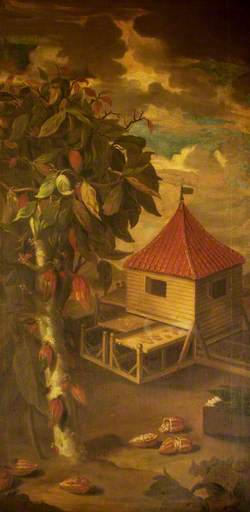 A Cocoa Tree and a Roasting Hut