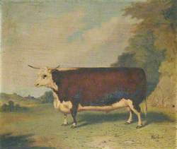 A Prize Cow in a Landscape