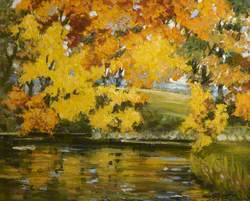 Yellow Leaves Hanging over Water