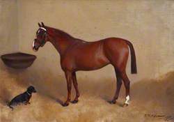 'Beatrice', a Chestnut Horse with a Dachshund in a Stable