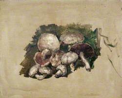 Still Life – Mushrooms