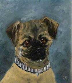 A Pug: 'Jo'