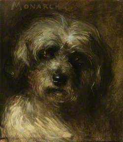 'Monarch': Head of a Terrier