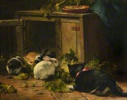 Kitten and Rabbits by a Hutch