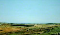 Northumbrian Landscape*