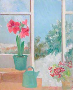 Amaryllis and Watering Can