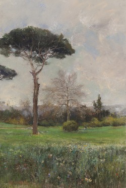 Pine Trees, near Naples