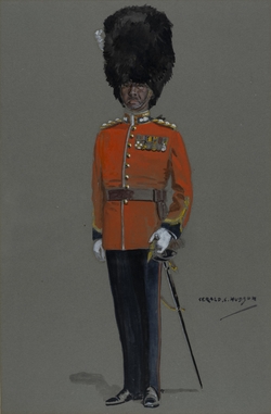 Major P. F. Knightley DSO, Royal Welch Fusiliers