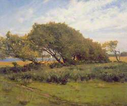 French Landscape