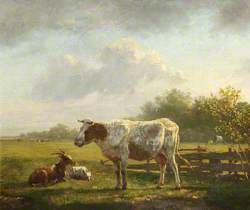 Cow and Goats in a Landscape