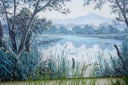 Avalon Marshes