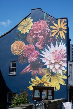 Dahlias