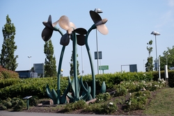 Propeller Head Garden